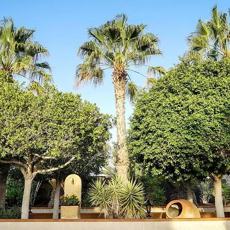 Palmeras Vila *